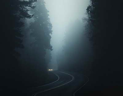 Польша создаст 200-метровую буферную зону на границе с Белоруссией