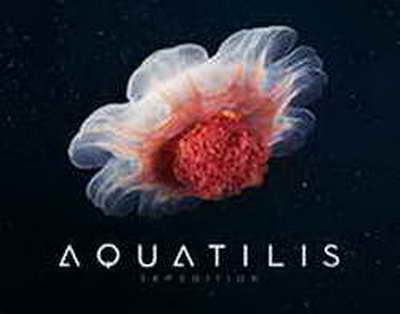 Уже на следующей неделе США могут начать передачу ракет ATACMS Украине - СМИ